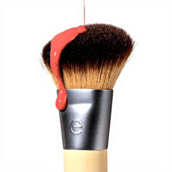 EcoTools Blush et Surbrillance Pinceaux Maquillage Naturel